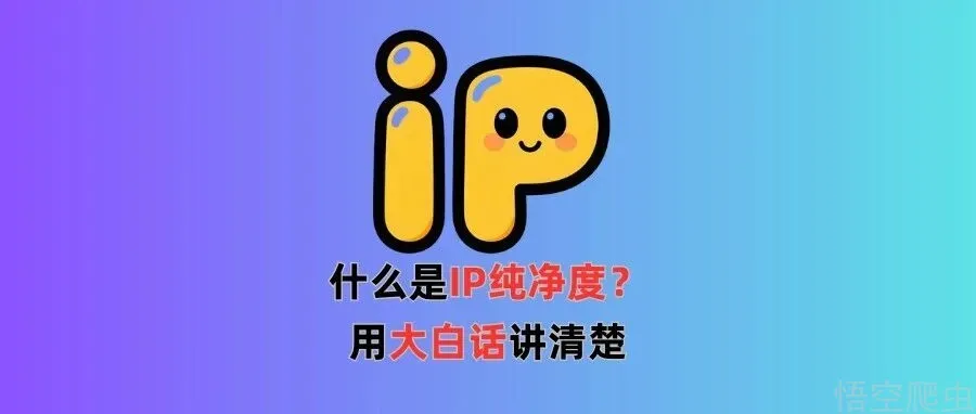 IP纯净度是啥？用大白话讲清楚